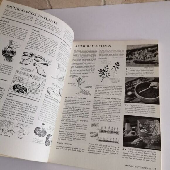 1973 Sunset Basic Gardening Illustrated, Vintage Plants Landscape Backyard Retro - Picture 6 of 9